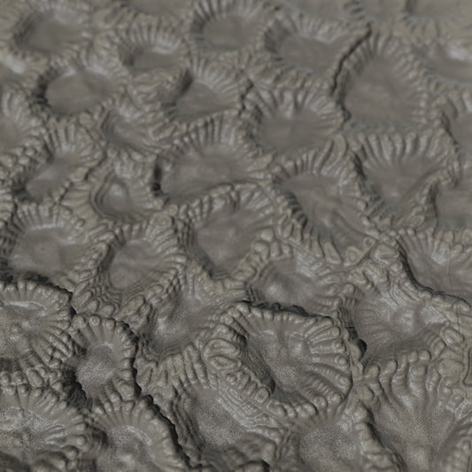 Terra-Tech™ LOBED BRAIN CORAL — Silicone Texture Rollers & Stamps