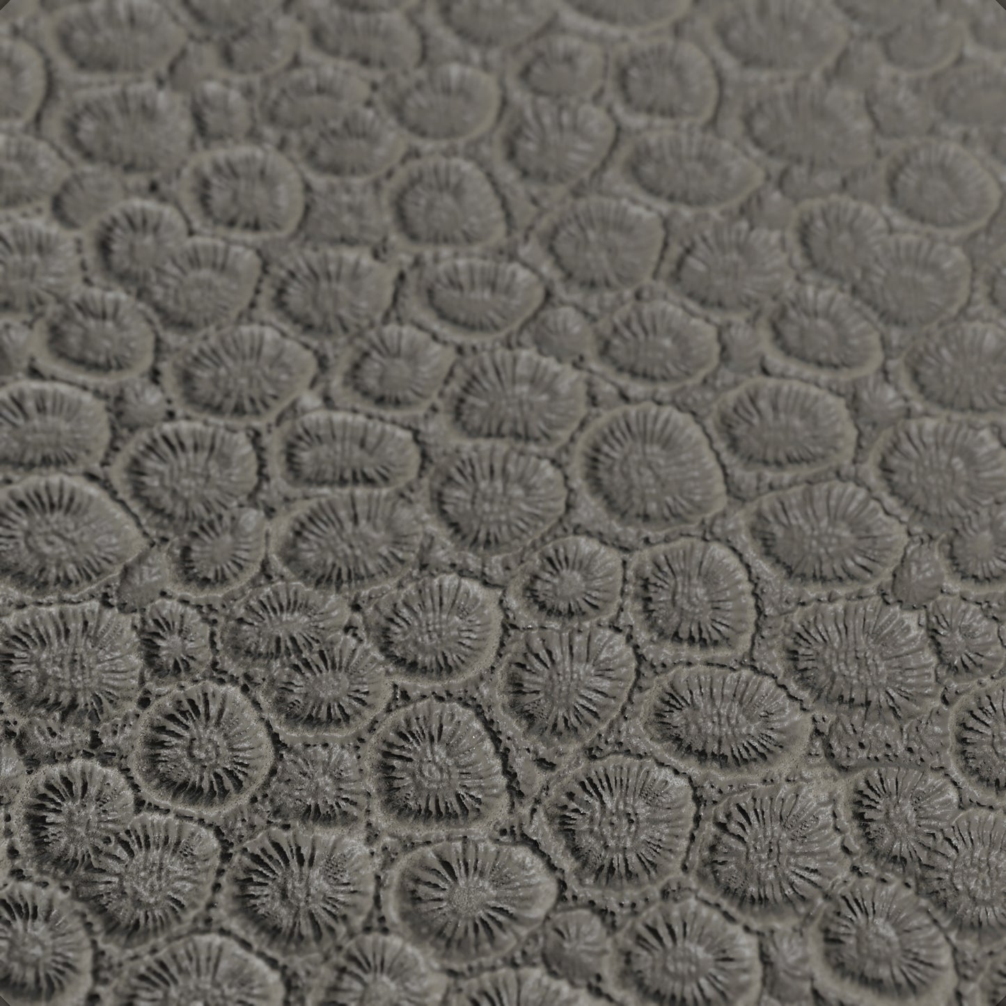 Terra-Tech™ FOSSIL REEFSTONE — Silicone Texture Rollers & Stamps