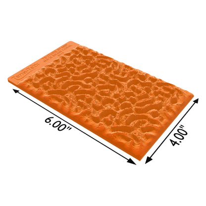Terra-Tech™ MAZE BRAIN CORAL — Silicone Texture Rollers & Stamps